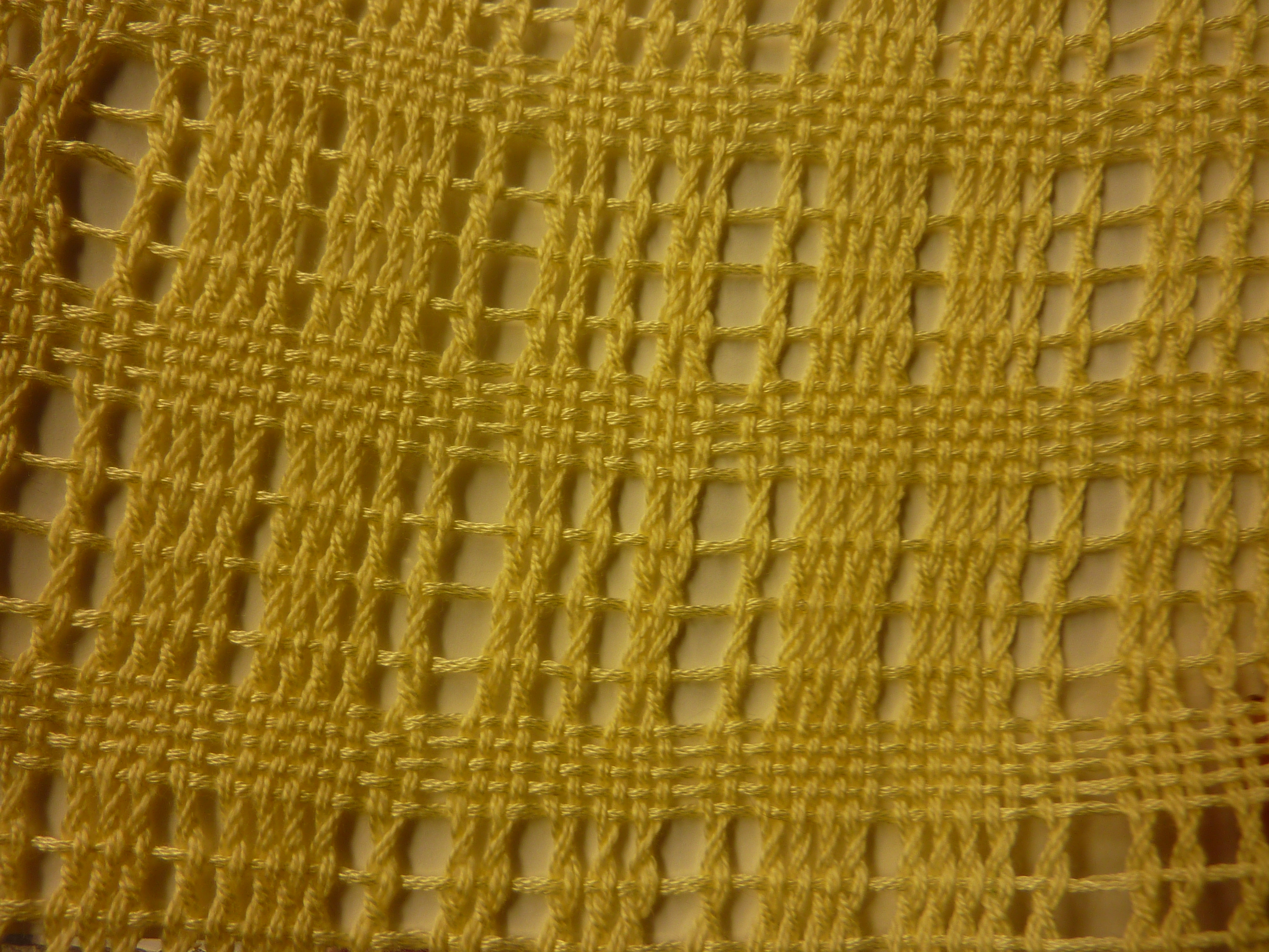 P1010904